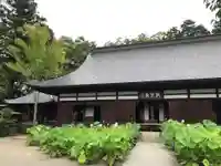 放光寺の本殿・本堂