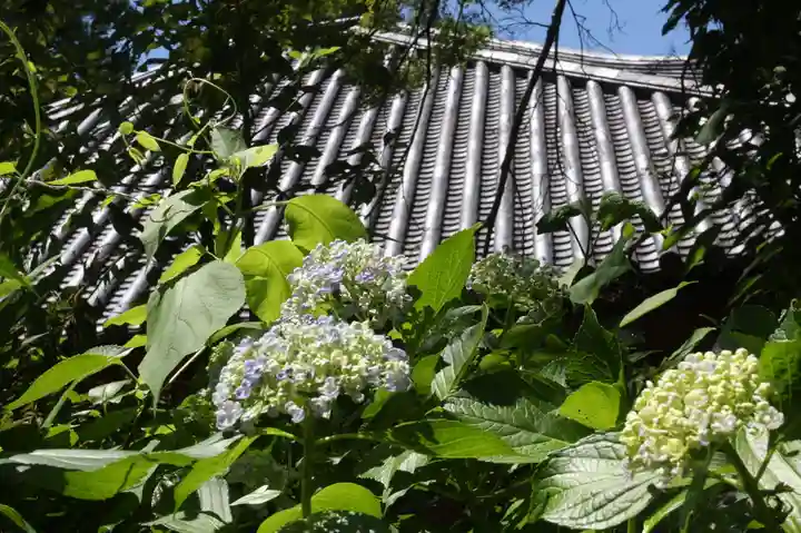 大洞弁財天 長寿院(滋賀県)