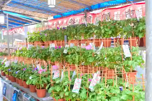 真源寺（入谷鬼子母神）(東京都)