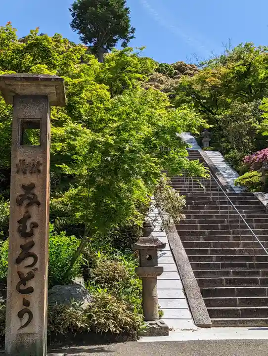 三室戸寺(京都府)