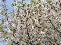 稲荷神社(北海道)