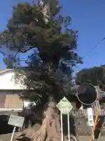 愛鷹神社(今泉)(静岡県)