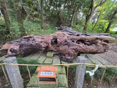 泉神社(茨城県)