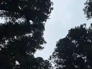 大宮温泉神社(栃木県)(2023年12月14日(木) 07時57分40秒投稿)