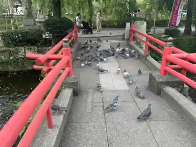 三嶋大社(静岡県)