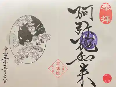 月替わり御朱印 黒猫とフユイチゴのかくれんぼ 600円