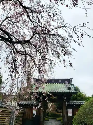 福蔵院(東京都)