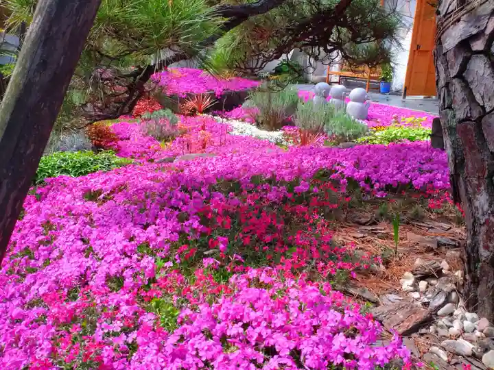 寿量山 速成寺(奈良県)