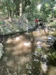 世田谷八幡宮の庭園