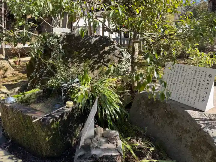 武田神社(山梨県)