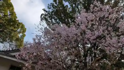 愛知縣護國神社の{uncategorized: "未分類", other: "その他", undefined: "問題あり", building: "その他建物", grave: "お墓", sacred_gate: "鳥居", guardian: "狛犬", statue: "像", buddha: "仏像", history: "歴史", nature: "自然", garden: "庭園", animal: "動物", pagoda: "塔", temizu: "手水舎", mountain_gate: "山門・神門", sanctuary: "本殿・本堂", subordinate: "末社・摂社", art: "芸術", scenery: "景色", jizo: "地蔵", ema: "絵馬", goshuin: "御朱印", omikuji: "おみくじ", items: "授与品その他", amulet: "お守り", goshuincho: "御朱印帳", eats: "食事", festival: "お祭り", votive_dance: "神楽", shichigosan: "七五三参", wedding: "結婚式", experience: "体験その他", initially: "初詣", around: "周辺", anti_infection: "感染症対策"}