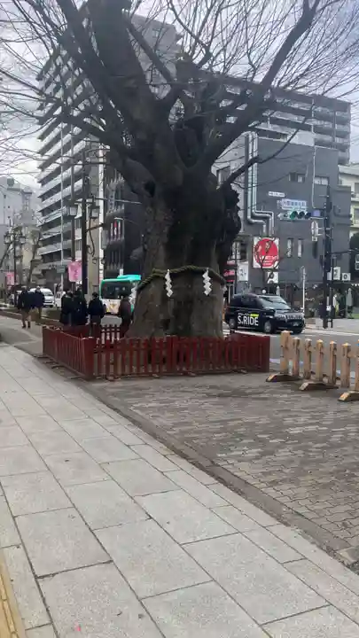 大國魂神社の御朱印