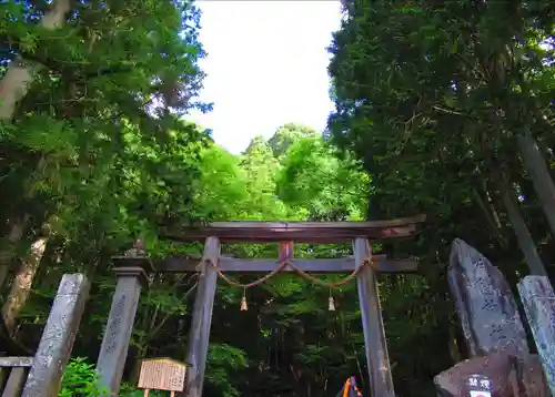 戸隠神社宝光社の鳥居