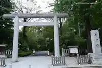 阿佐ヶ谷神明宮の鳥居