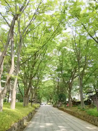 武蔵一宮氷川神社(埼玉県)