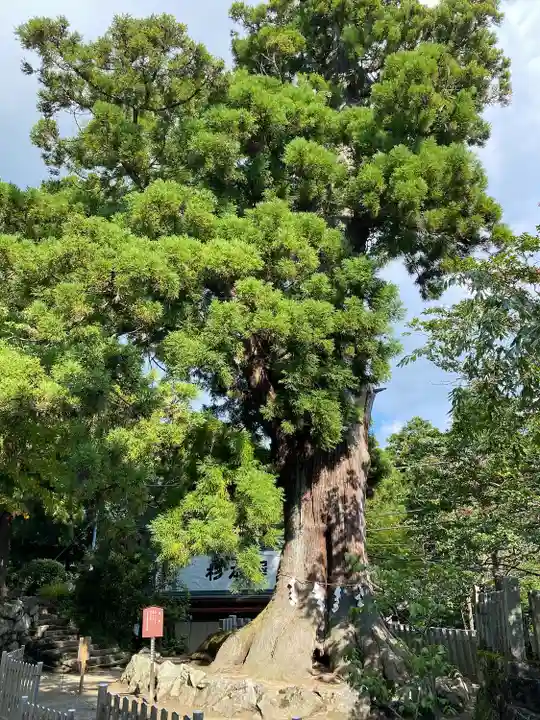 筑波山神社の自然