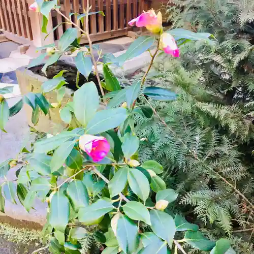 川口神社の自然