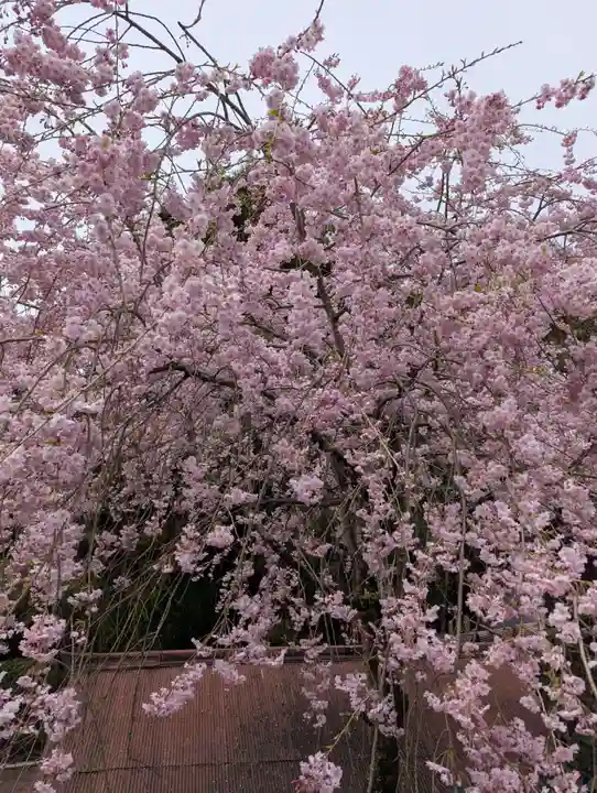 吉野水分神社(吉野町)(奈良県)