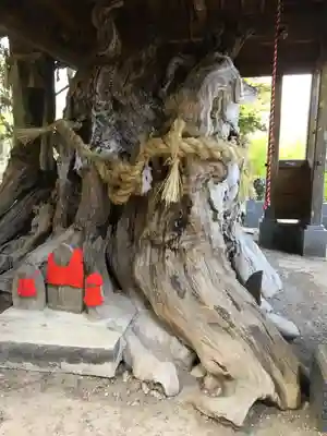 西方寺のその他建物