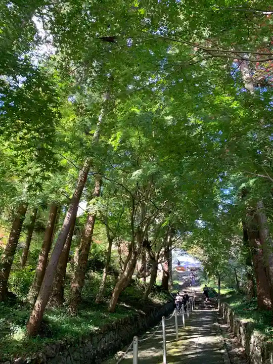 普門寺(切り絵御朱印発祥の寺)の自然