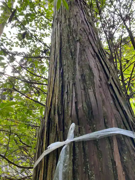 安仁神社(岡山県)
