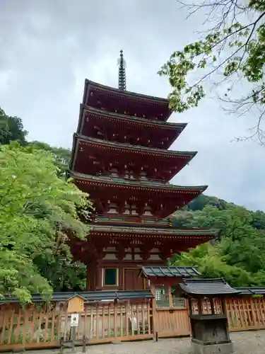 長谷寺(奈良県)