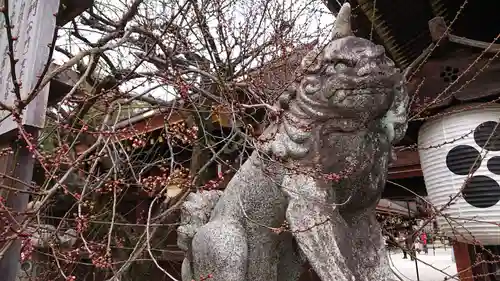 北野天満宮(京都府)