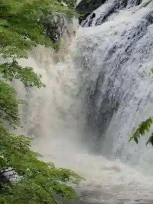 月居観音堂（月居山光明寺観音堂）の自然