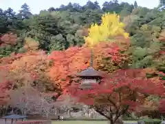 金剛院の建物その他