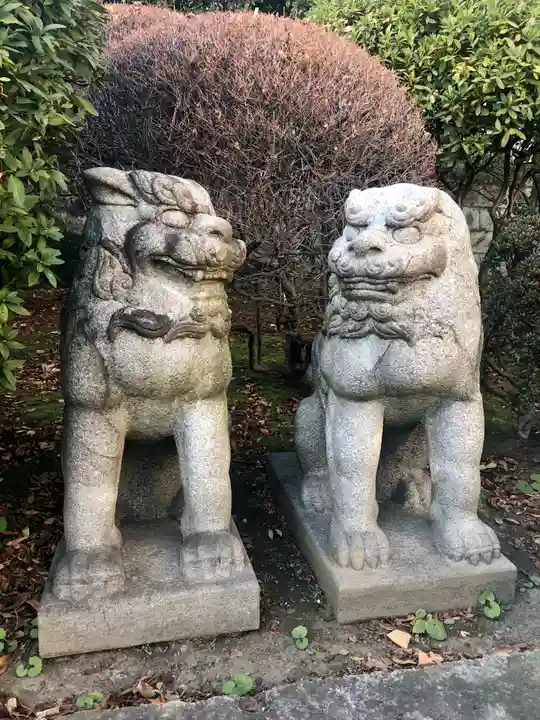 待乳山聖天(本龍院)の狛犬