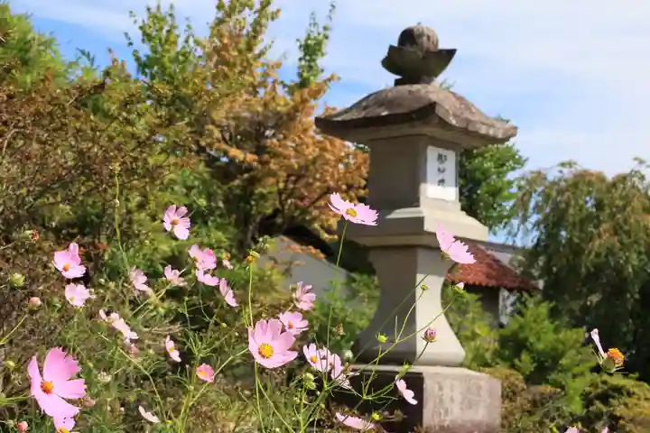 豊景神社の庭園