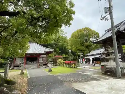観音寺(香川県)