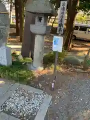 甲斐國一宮 浅間神社(山梨県)