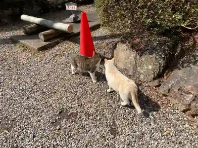 唐澤山神社(栃木県)