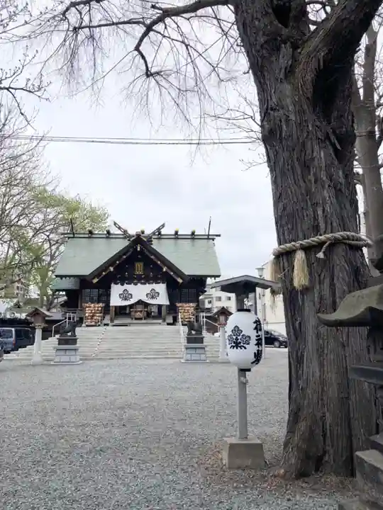 札幌諏訪神社の本殿・本堂