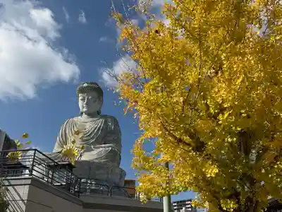 能福寺(兵庫県)
