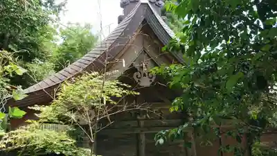 渋川八幡宮の本殿・本堂