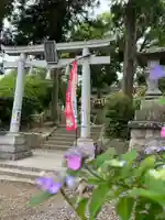 隠津島神社(福島県)