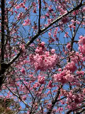 八幡神社(神奈川県)