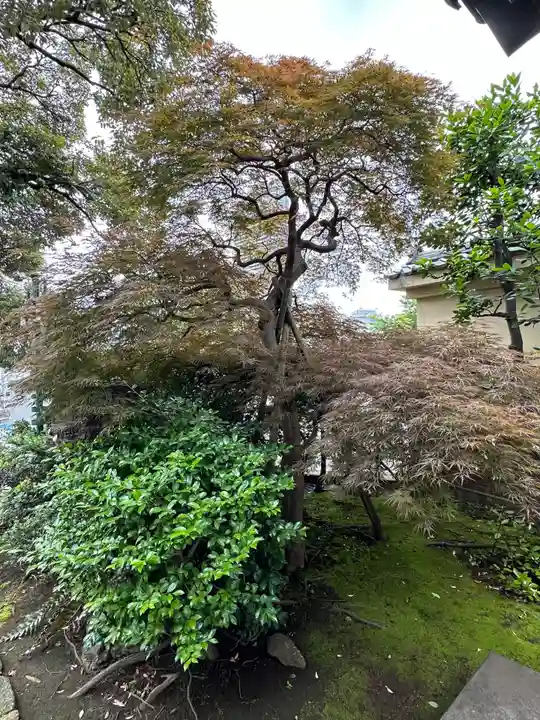 本覺寺(神奈川県)