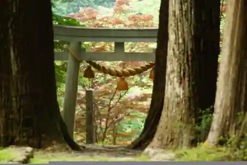 新宮神社の鳥居