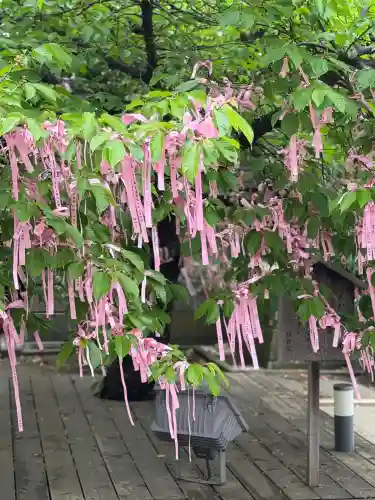 桜神宮の{uncategorized: "未分類", other: "その他", undefined: "問題あり", building: "その他建物", grave: "お墓", sacred_gate: "鳥居", guardian: "狛犬", statue: "像", buddha: "仏像", history: "歴史", nature: "自然", garden: "庭園", animal: "動物", pagoda: "塔", temizu: "手水舎", mountain_gate: "山門・神門", sanctuary: "本殿・本堂", subordinate: "末社・摂社", art: "芸術", scenery: "景色", jizo: "地蔵", ema: "絵馬", goshuin: "御朱印", omikuji: "おみくじ", items: "授与品その他", amulet: "お守り", goshuincho: "御朱印帳", eats: "食事", festival: "お祭り", votive_dance: "神楽", shichigosan: "七五三参", wedding: "結婚式", experience: "体験その他", initially: "初詣", around: "周辺", anti_infection: "感染症対策"}