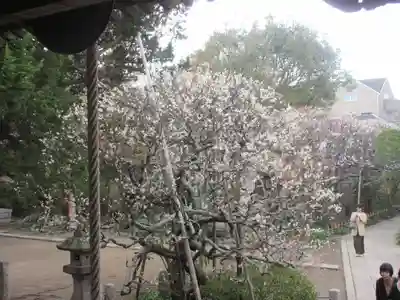 宝戒寺(神奈川県)