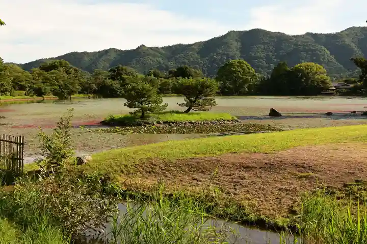 大覚寺(京都府)