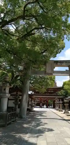 太宰府天満宮の鳥居