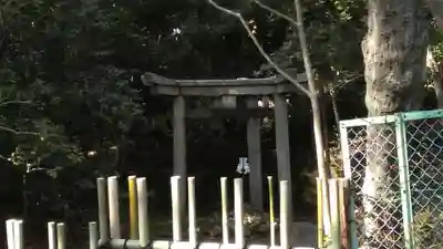 木嶋坐天照御魂神社(京都府)