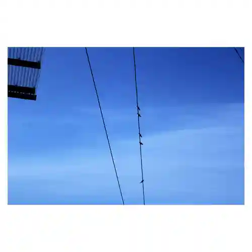 岐阜稲荷山本社(岐阜県)