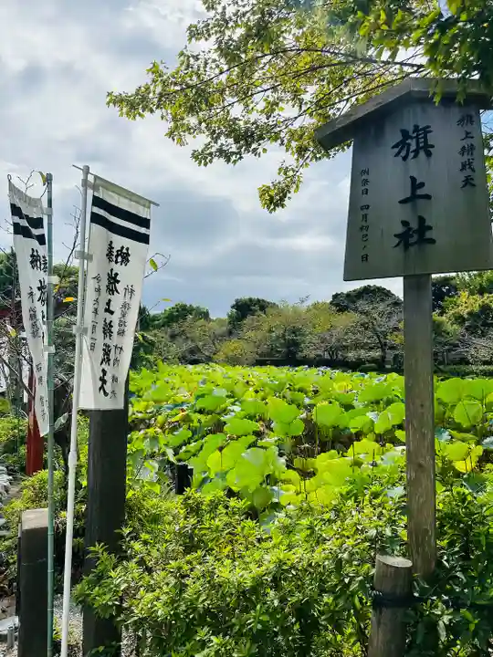 旗上弁財天社の自然