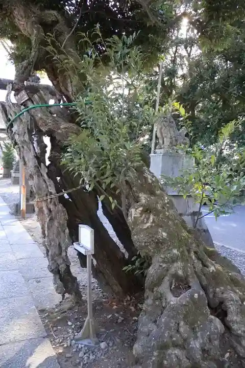 一言主神社の{uncategorized: "未分類", other: "その他", undefined: "問題あり", building: "その他建物", grave: "お墓", sacred_gate: "鳥居", guardian: "狛犬", statue: "像", buddha: "仏像", history: "歴史", nature: "自然", garden: "庭園", animal: "動物", pagoda: "塔", temizu: "手水舎", mountain_gate: "山門・神門", sanctuary: "本殿・本堂", subordinate: "末社・摂社", art: "芸術", scenery: "景色", jizo: "地蔵", ema: "絵馬", goshuin: "御朱印", omikuji: "おみくじ", items: "授与品その他", amulet: "お守り", goshuincho: "御朱印帳", eats: "食事", festival: "お祭り", votive_dance: "神楽", shichigosan: "七五三参", wedding: "結婚式", experience: "体験その他", initially: "初詣", around: "周辺", anti_infection: "感染症対策"}