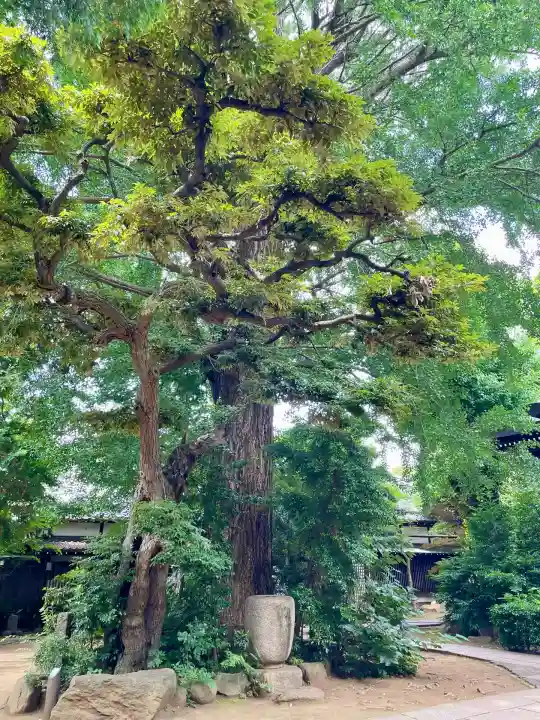 奥澤神社(東京都)